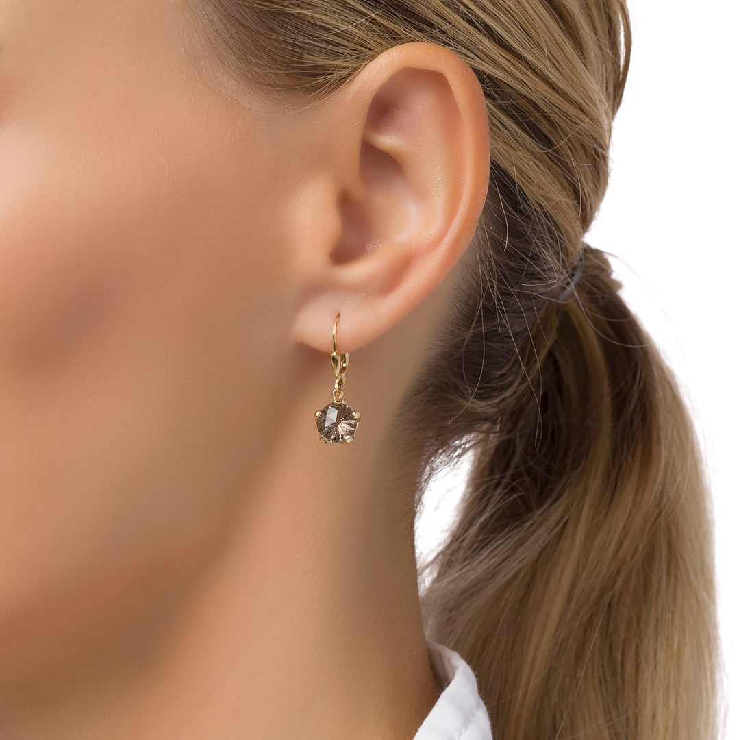 Hazy Ice Round Cut Earring