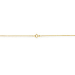 Load image into Gallery viewer, Starburst Amulette Cherry Amber Necklace