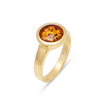 Load image into Gallery viewer, Natures Amulet Ring
